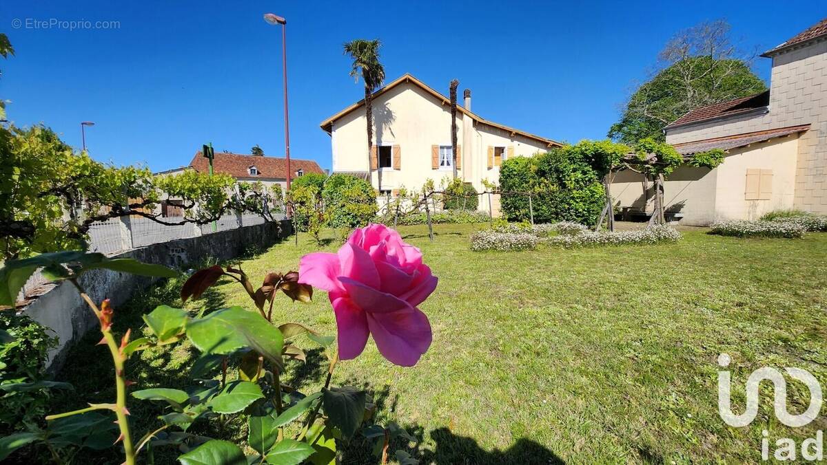 Photo 1 - Maison à SAUVETERRE-DE-BEARN