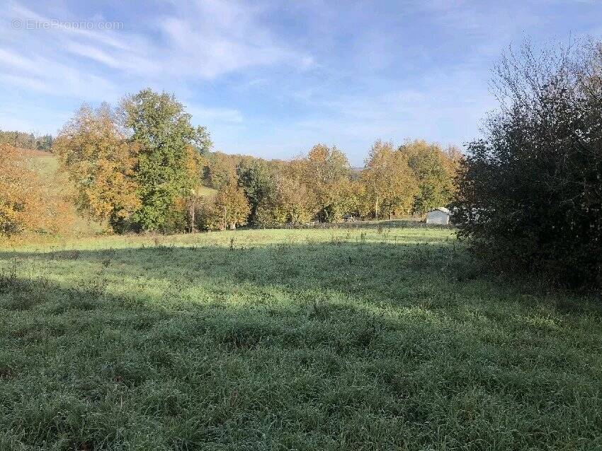Terrain à LA DOUZE