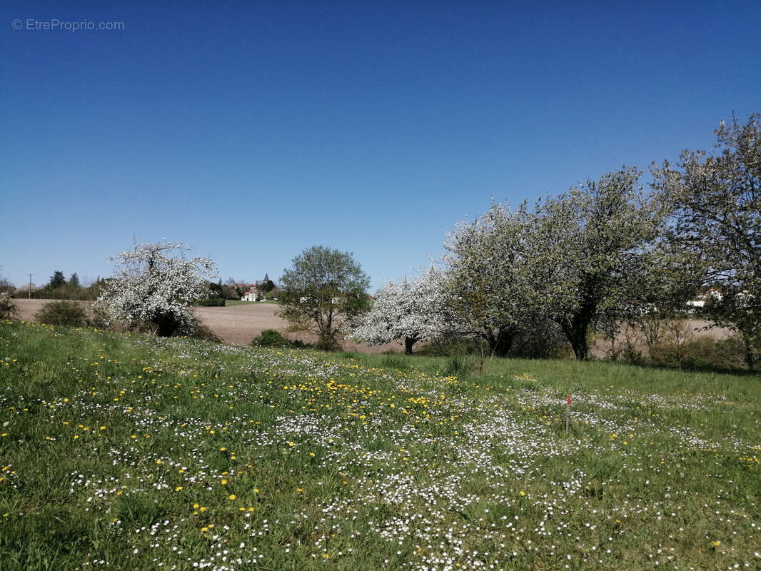 Terrain à SAINT-SEVERIN