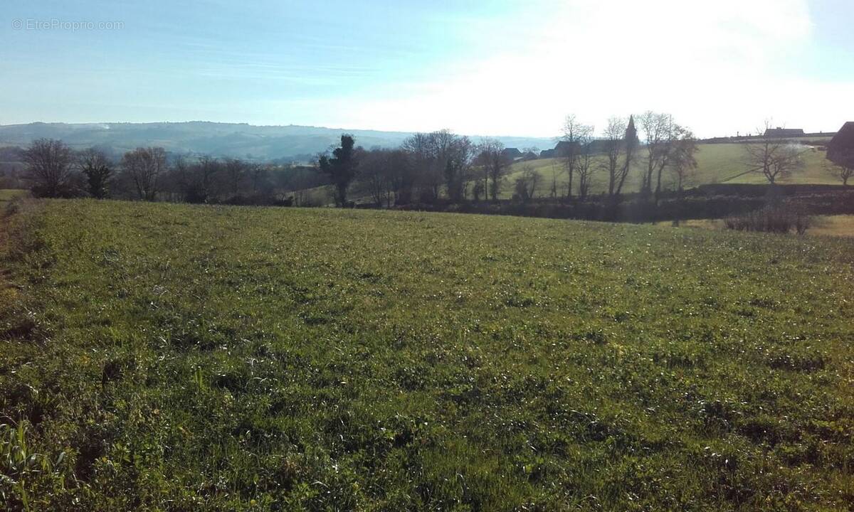 Terrain à CASTANET