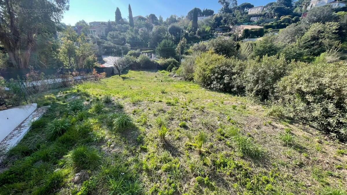 Terrain à VALLAURIS