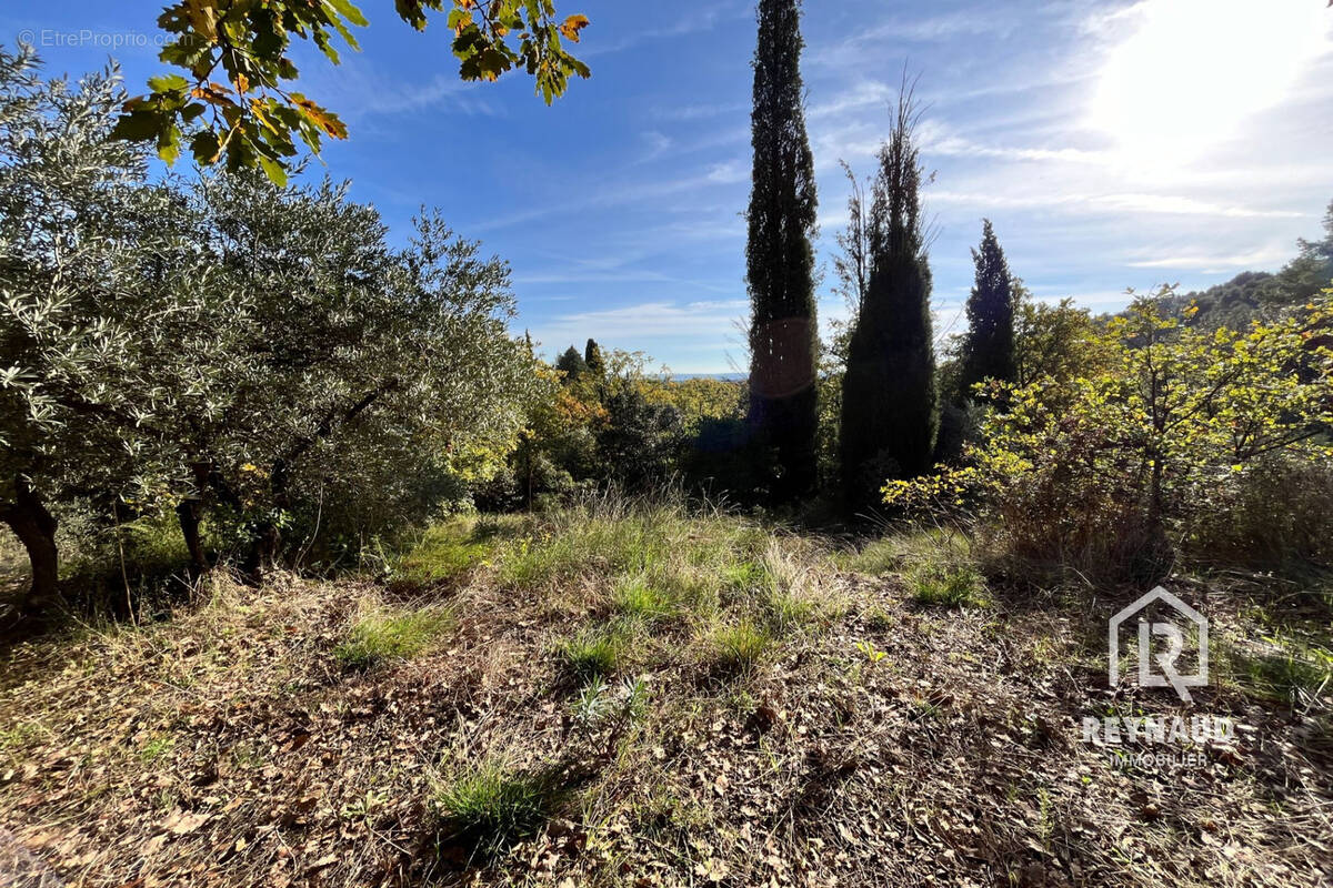 Terrain à CLERMONT-L&#039;HERAULT