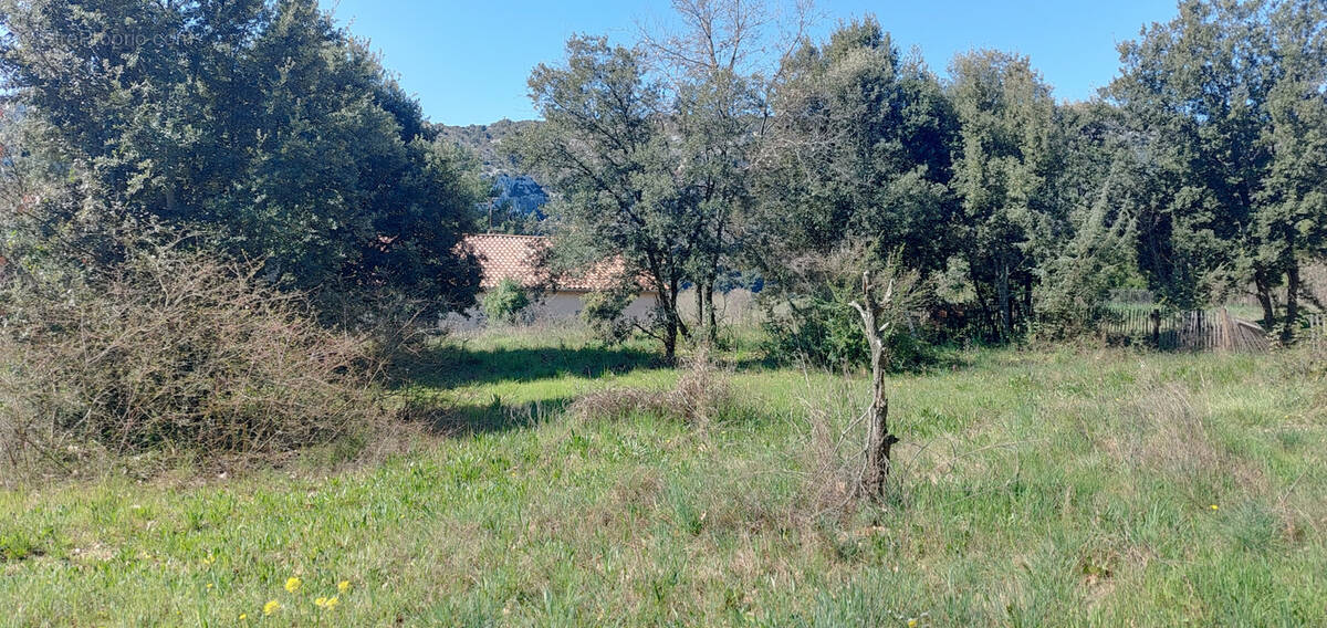 Terrain à SAINT-MARTIN-D&#039;ARDECHE