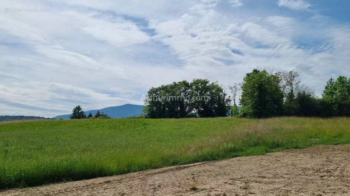 Terrain à BELLEY