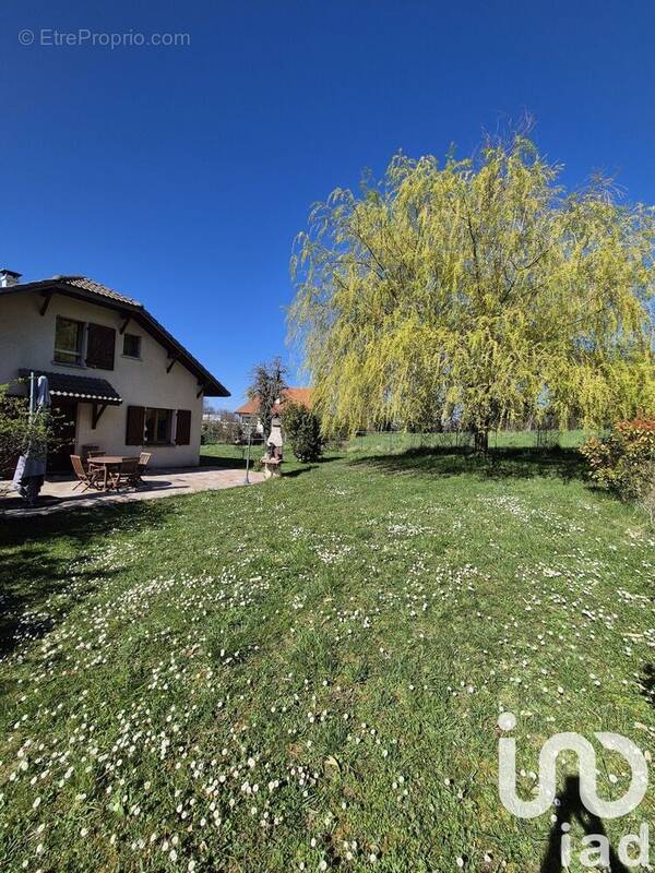 Photo 1 - Maison à CRANVES-SALES