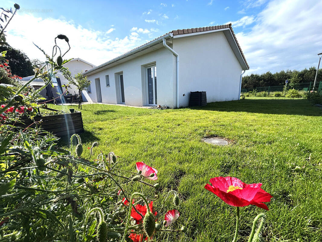 Maison à TOSSE