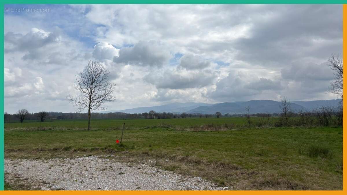 Terrain à SOUAL