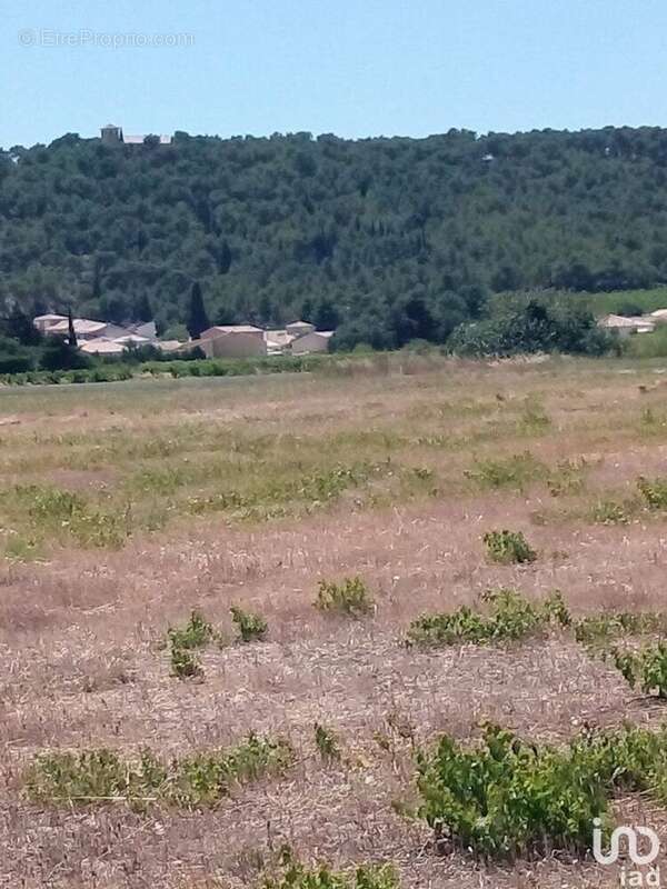 Photo 2 - Terrain à ROQUEFORT-DES-CORBIERES