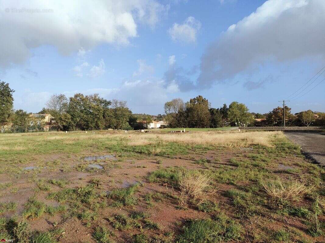 Terrain à MAREUIL-SUR-LAY-DISSAIS