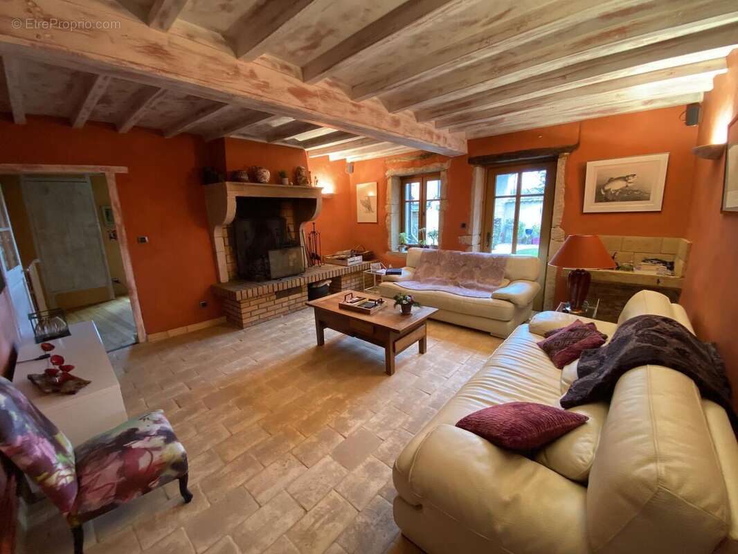 Photo 9 - Maison à MESSIMY-SUR-SAONE