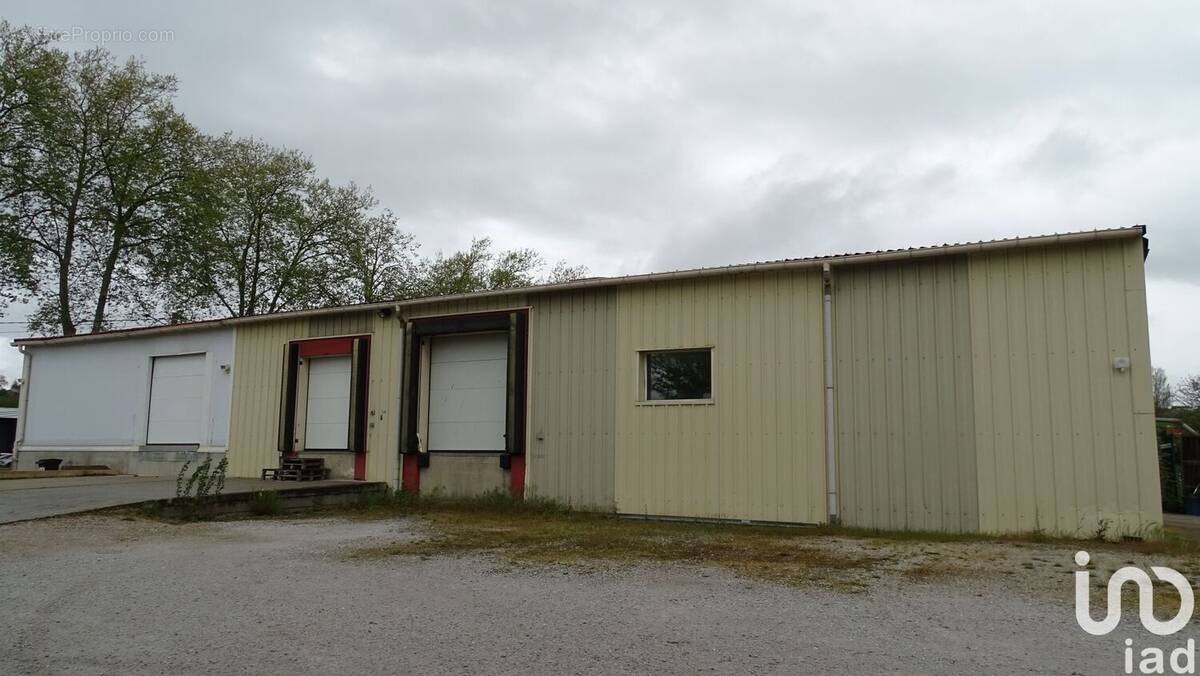 Photo 1 - Commerce à PUYLAURENS
