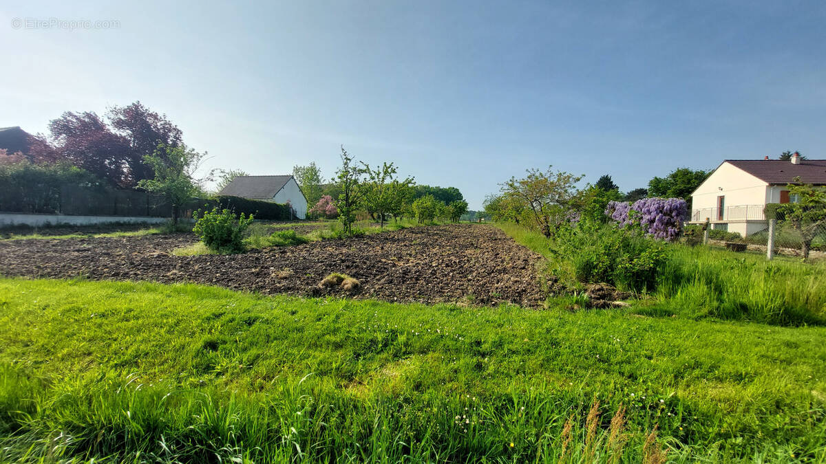 Terrain à ARTANNES-SUR-INDRE