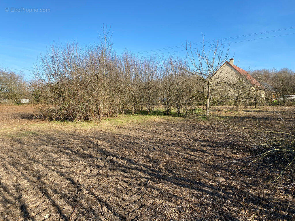 Terrain à TRUN