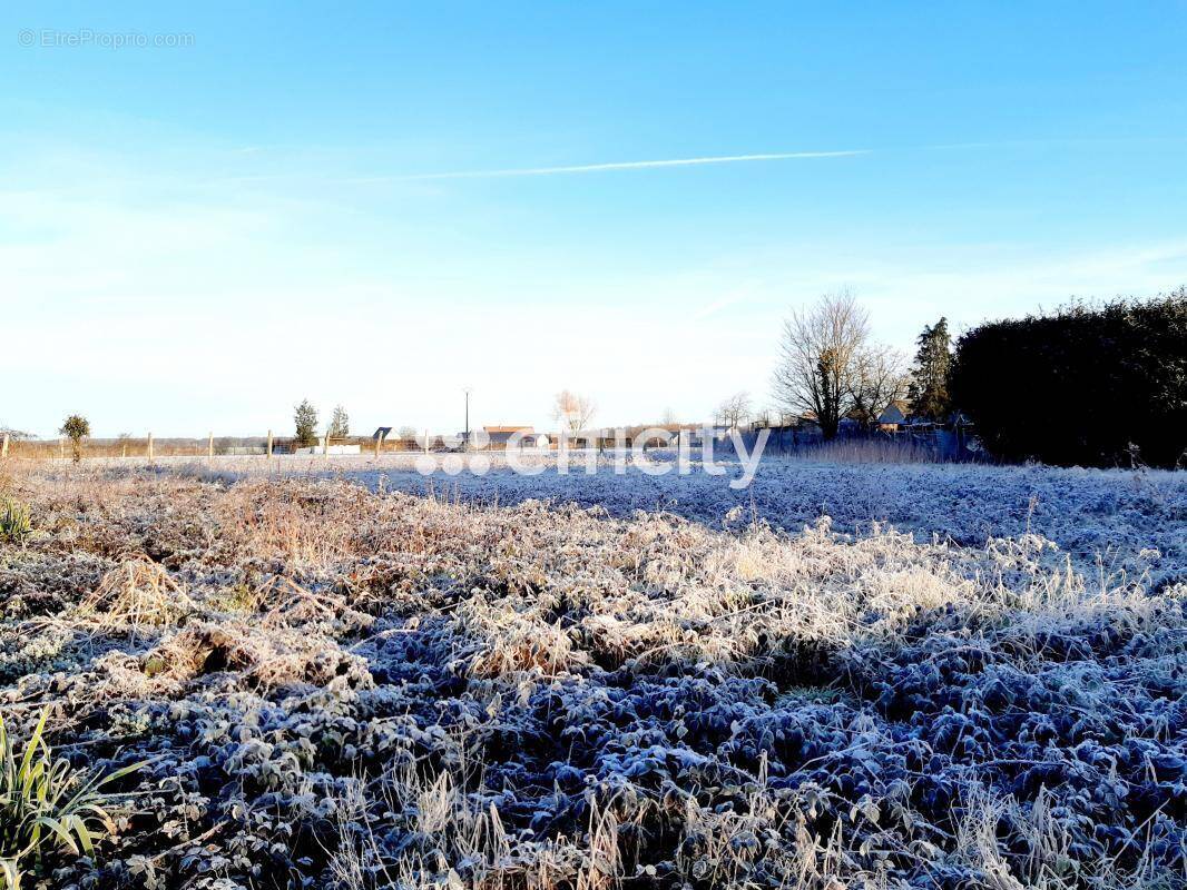 Terrain à CHAMPROND-EN-GATINE