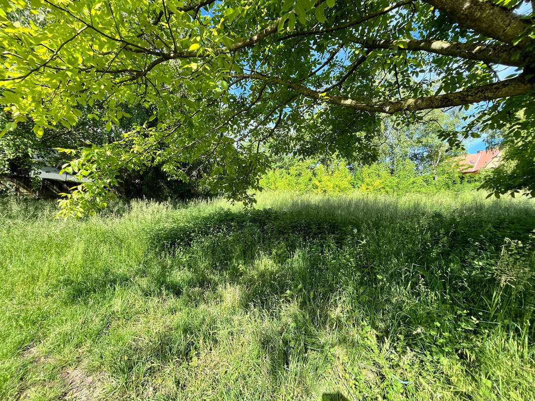 Terrain à WINGERSHEIM