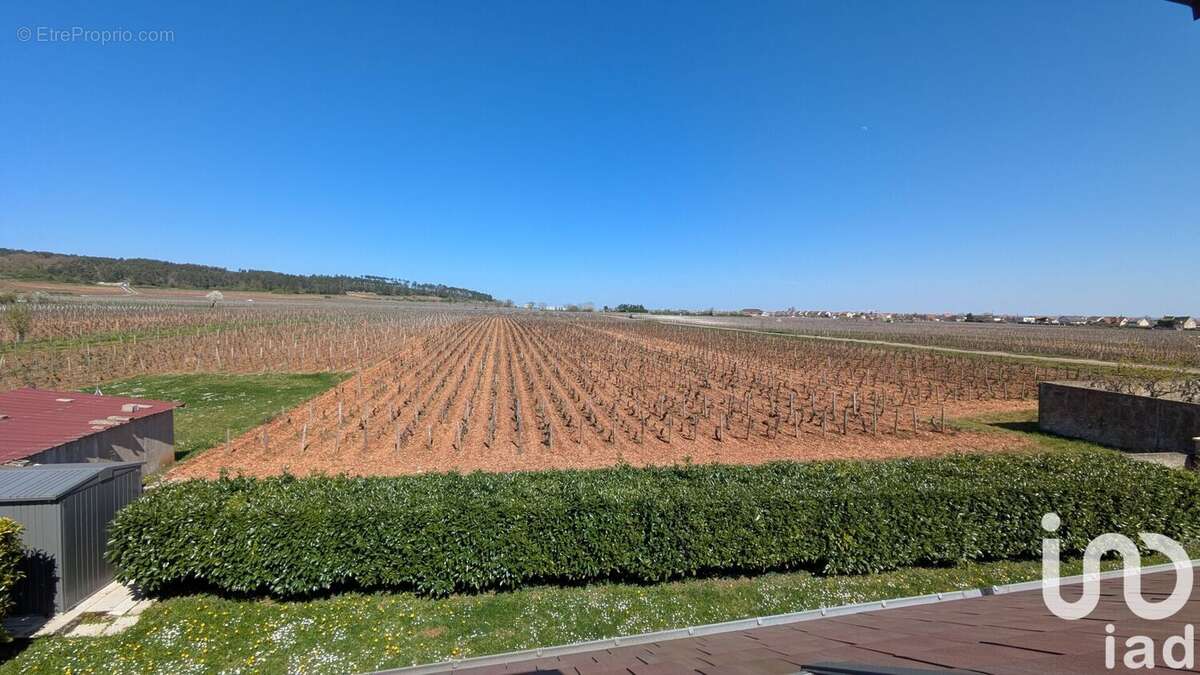 Photo 5 - Maison à MARSANNAY-LA-COTE