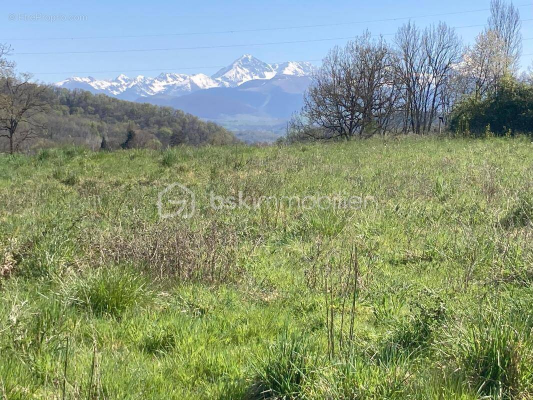 Terrain à BENAC