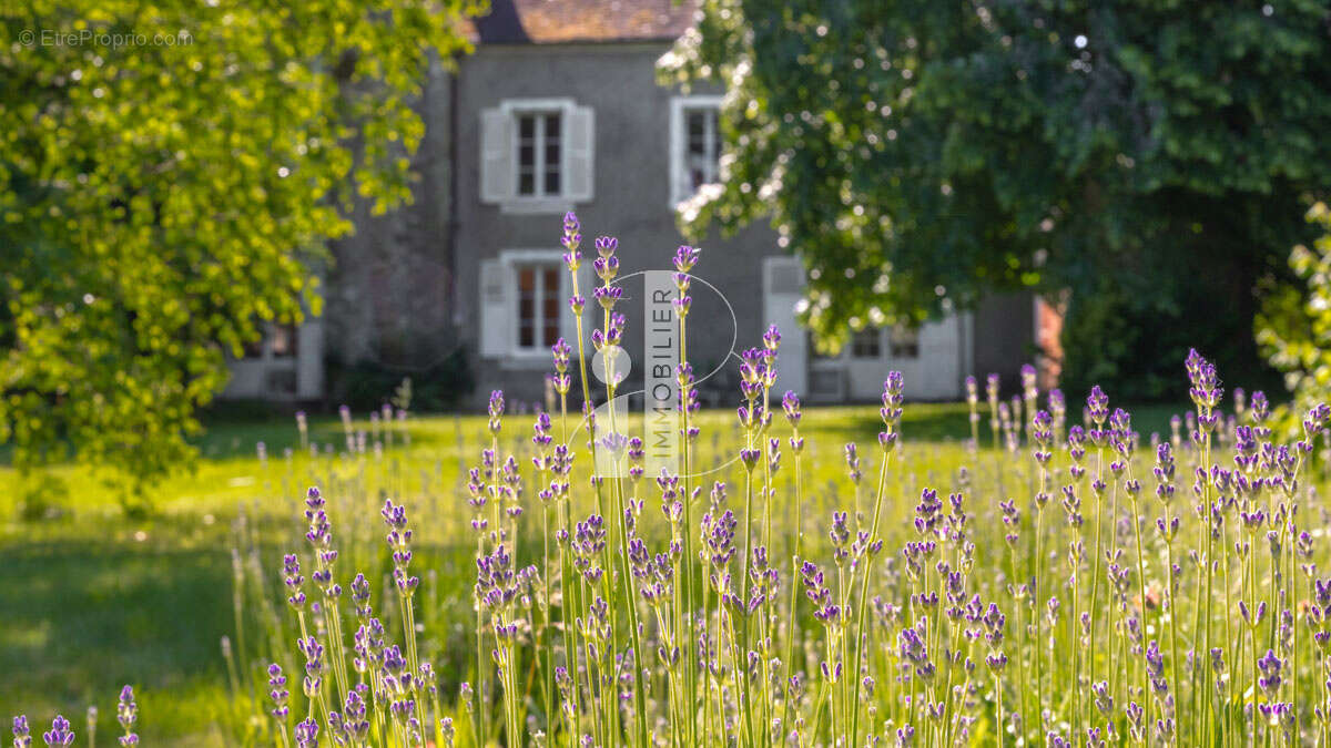 Maison à BOIS-LE-ROI