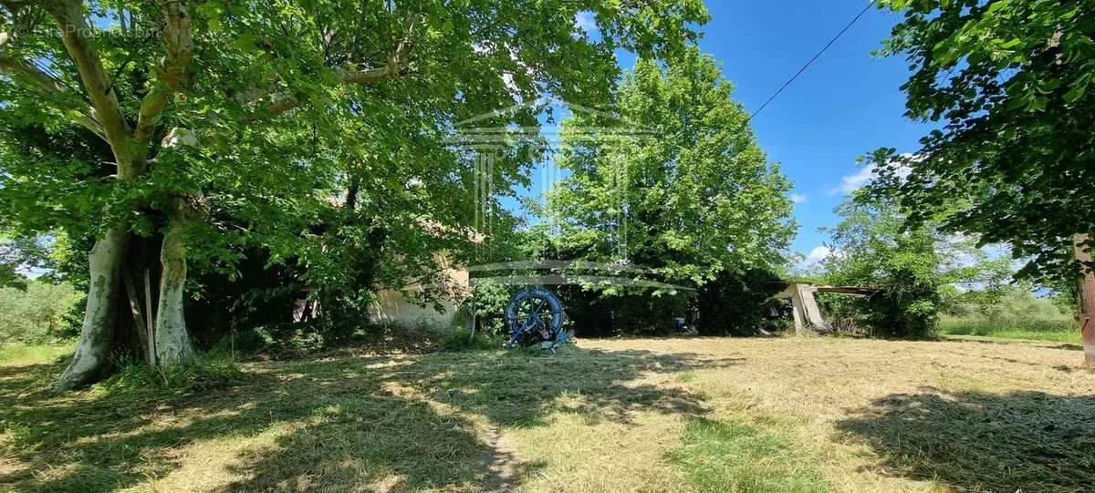 Maison à COURTHEZON