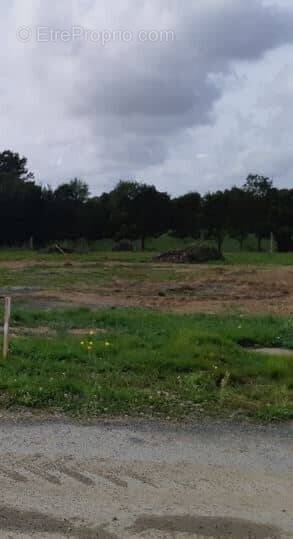 Terrain à SAINT-DENIS-LA-CHEVASSE