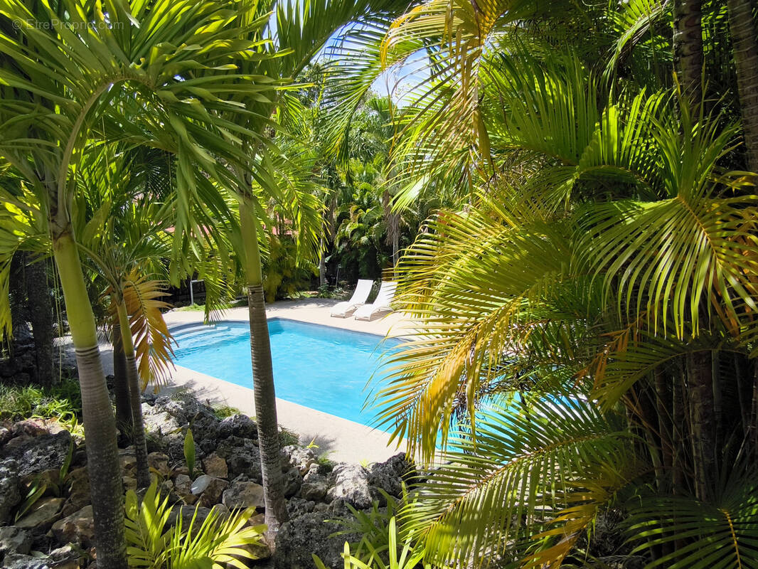 Maison à ANSE-BERTRAND