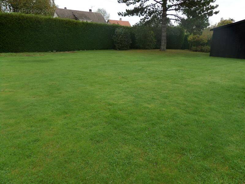 Terrain à SAULX-LES-CHARTREUX