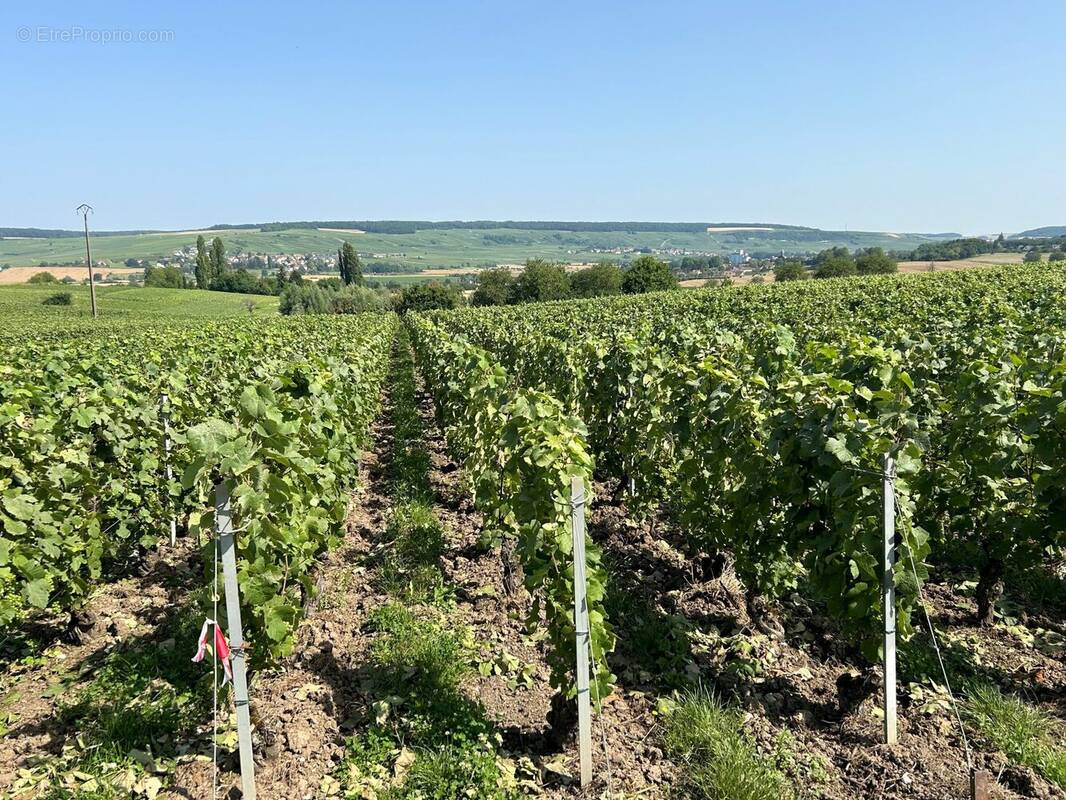 Terrain à MAREUIL-LE-PORT