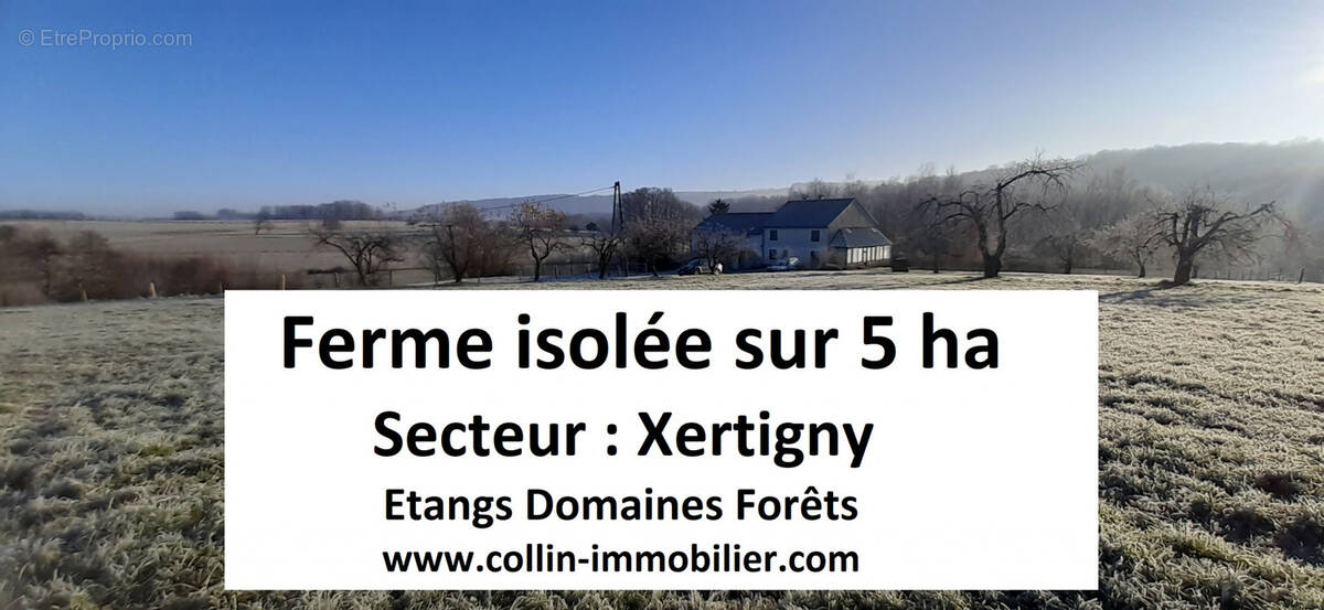 Terrain à XERTIGNY