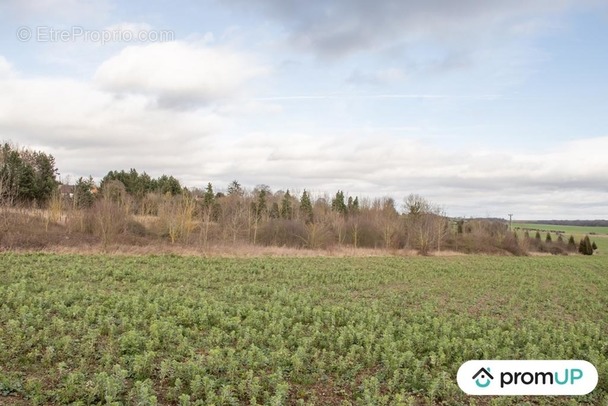 Terrain à SOREL-EN-VIMEU