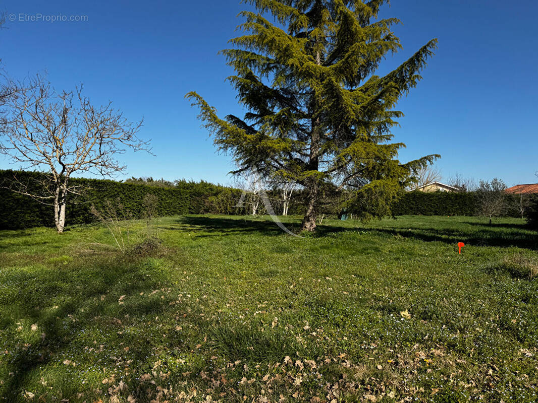 Terrain à MONTBARTIER