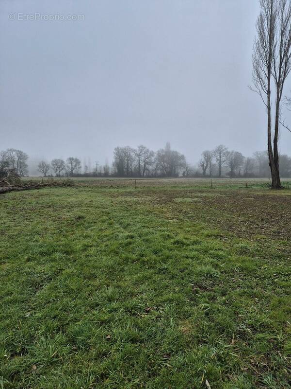 Terrain à DOUSSAY
