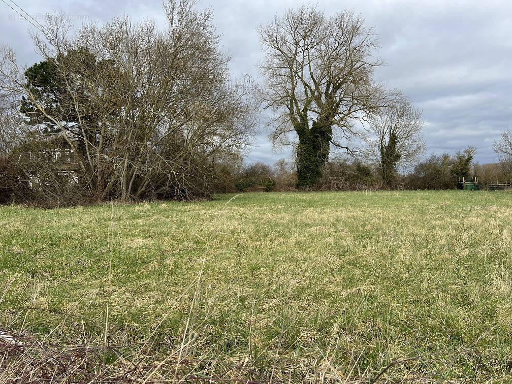 Terrain à VERTON