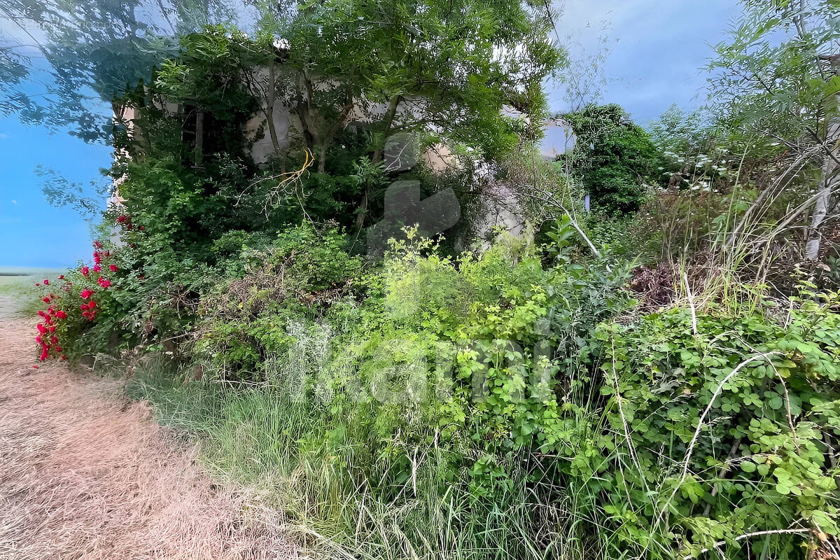 Terrain à CHATEAUNEUF-DE-GALAURE