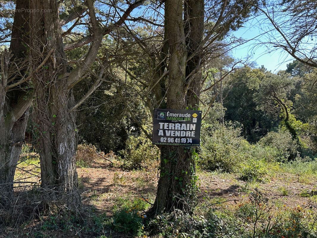 Terrain à LA BOUILLIE