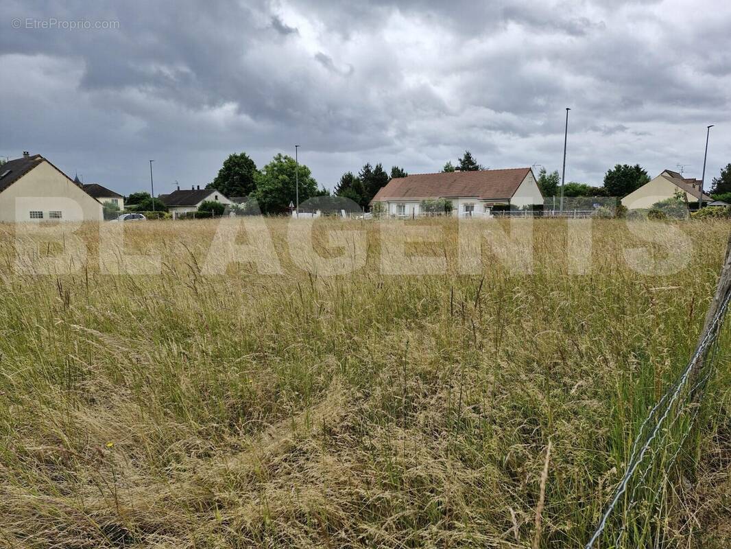 104 - Terrain à CEPOY