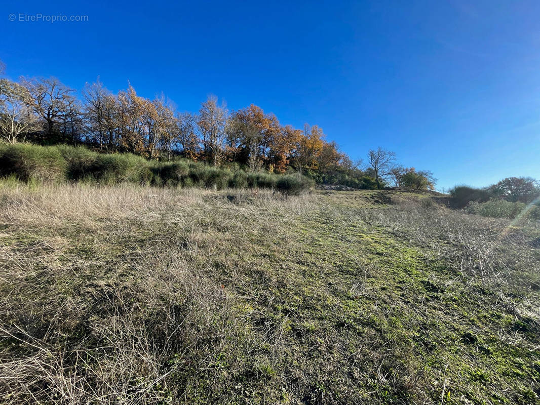 Terrain à BELVEZE-DU-RAZES