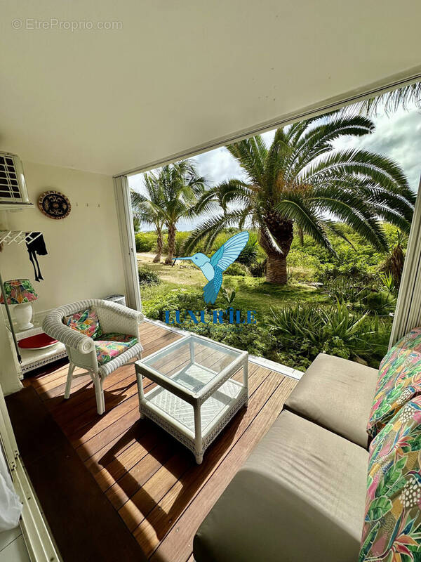 Appartement à SAINT-MARTIN