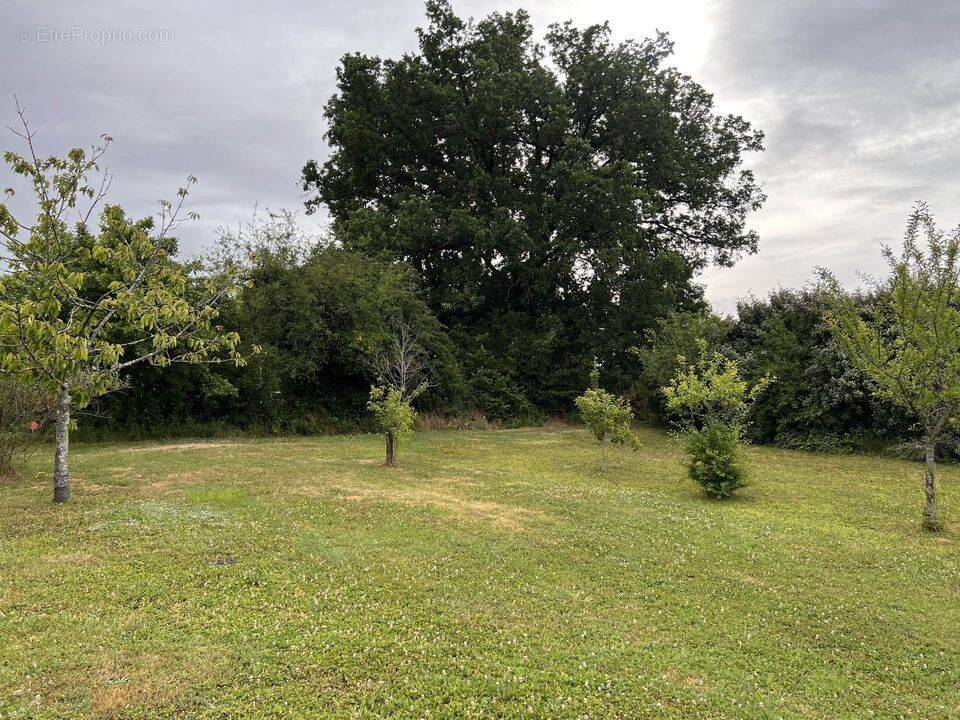 Terrain à CHERVES