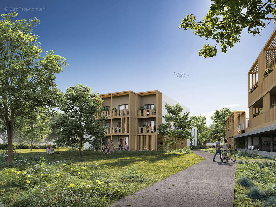 Boisea à Nantes